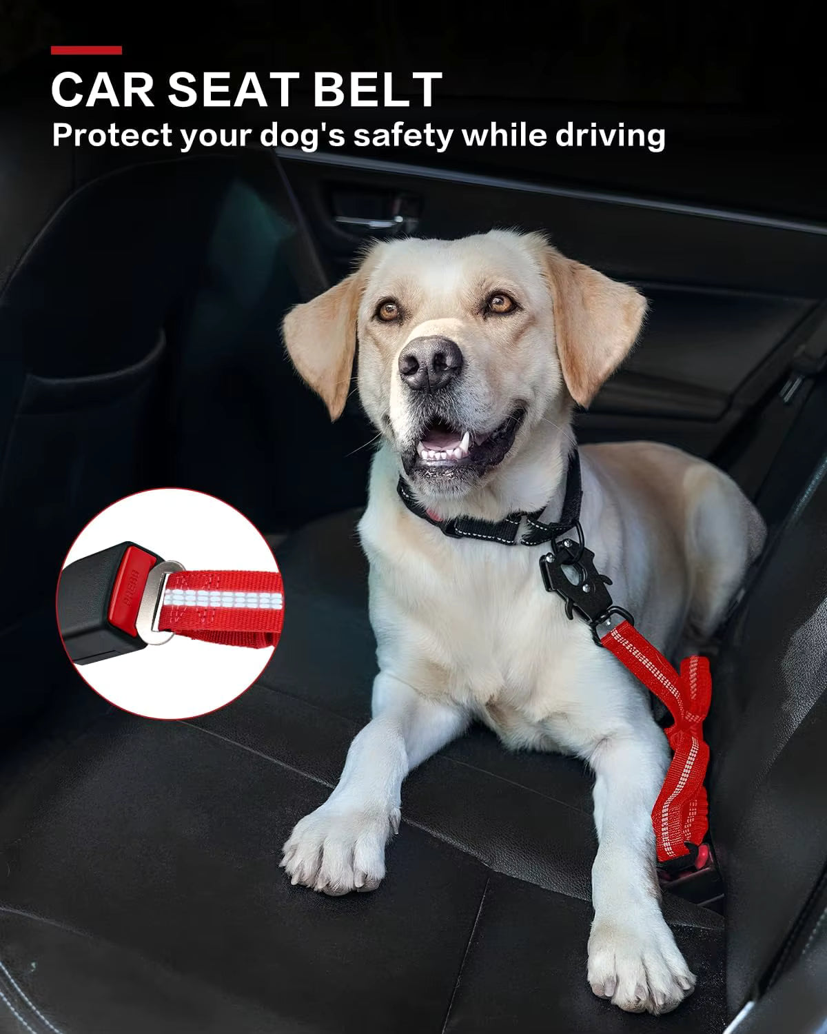 Heavy Duty Leash