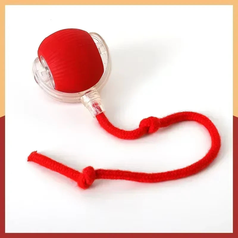 Interactive Cat & Dog Toy