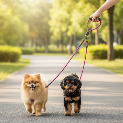 Dual Walking Leash