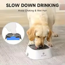 Anti Splash Water Bowl