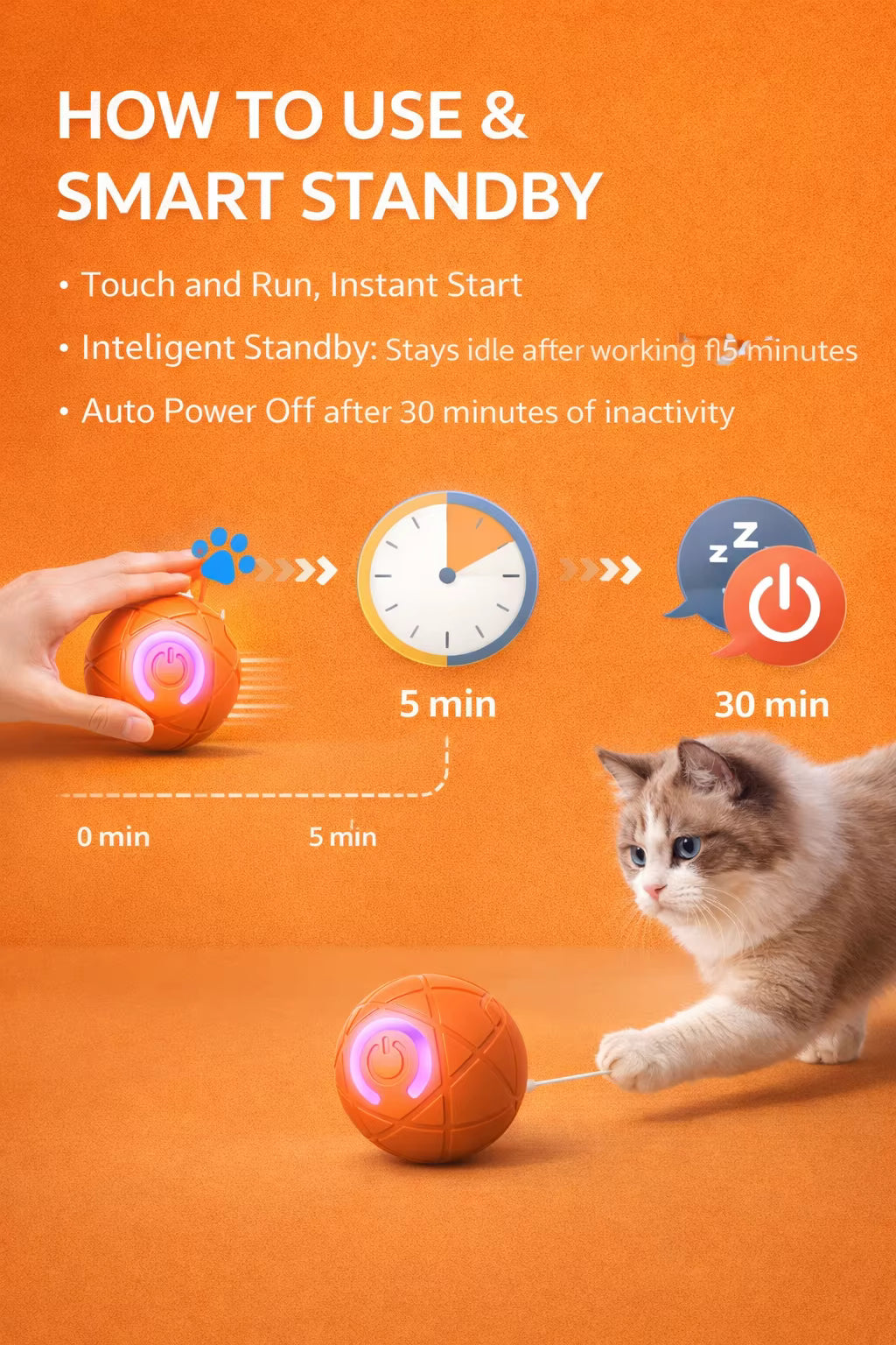 Interactive Pet Ball Toy
