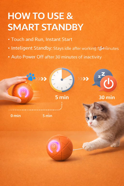 Interactive Pet Ball Toy
