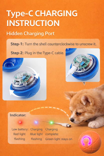 Interactive Pet Ball Toy