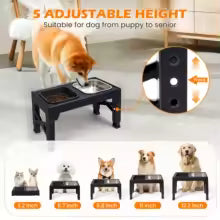 2-in-1 Elevated Dog Bowl