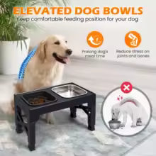 2-in-1 Elevated Dog Bowl