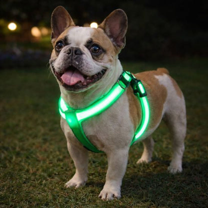 LED Harness