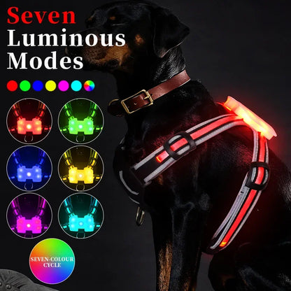 LED Harness