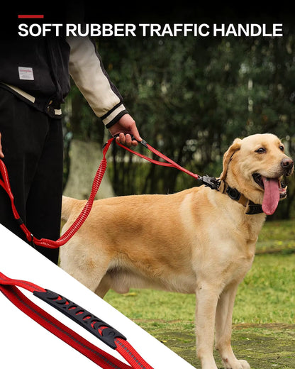 Heavy Duty Leash