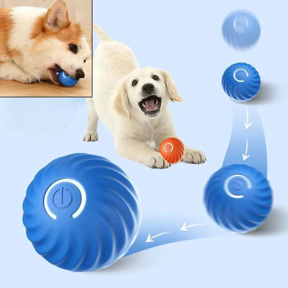 Interactive Pet Ball Toy