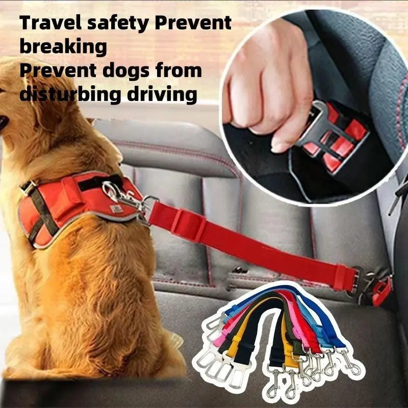 Pet SeatBelt