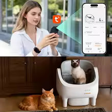 Self-cleaning Litter box