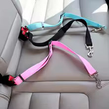 Pet SeatBelt