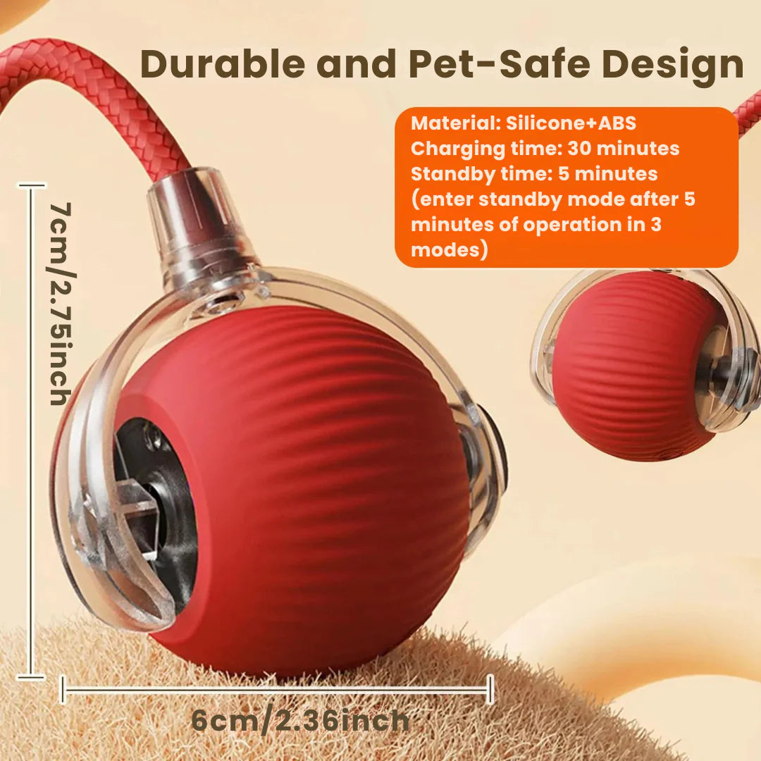Interactive Cat & Dog Toy