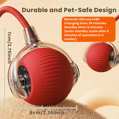 Interactive Cat & Dog Toy