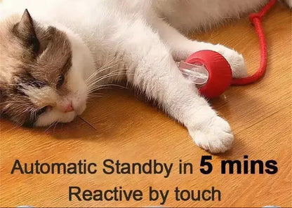 Interactive Cat & Dog Toy