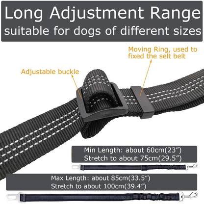 Pet SeatBelt